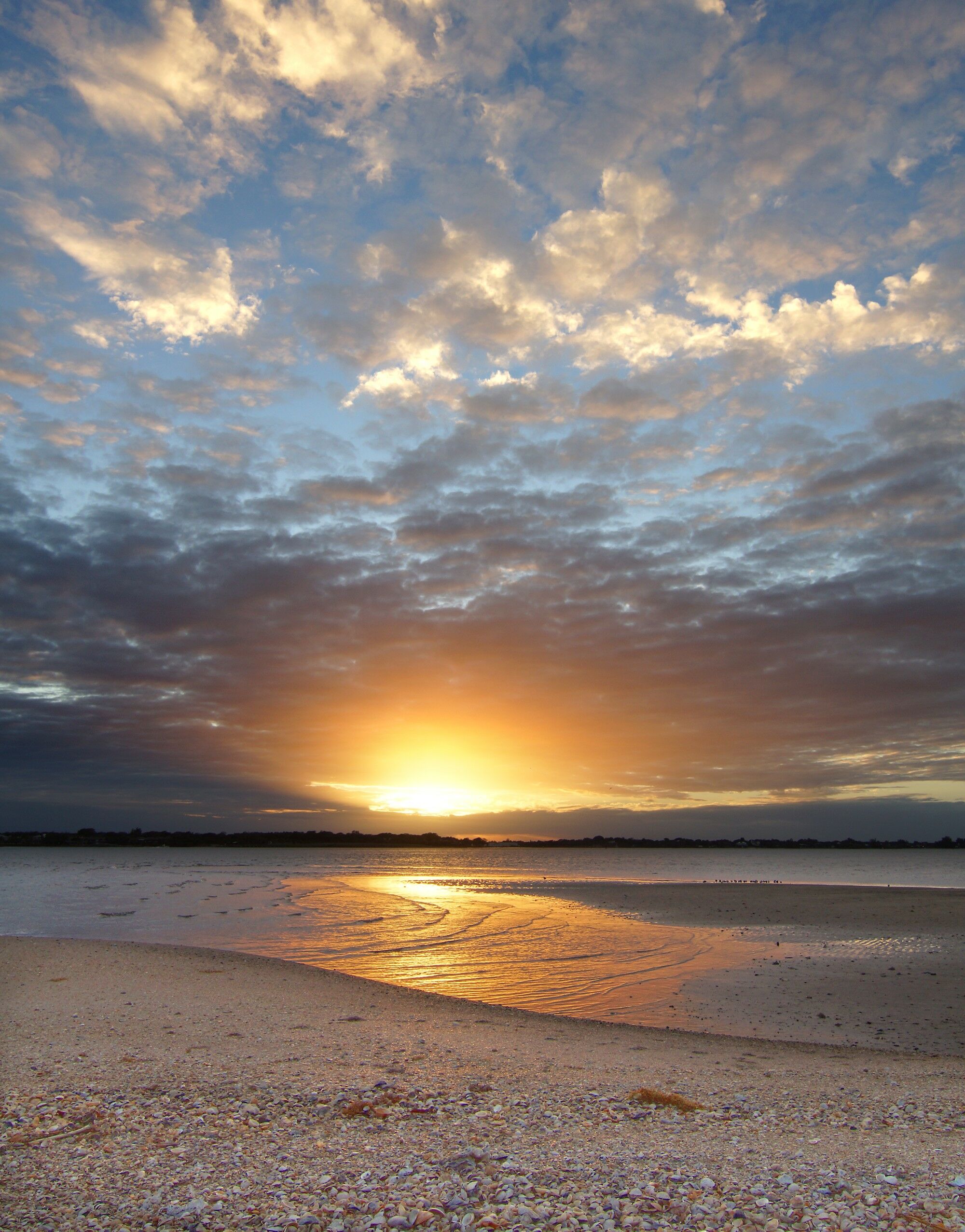 Click to See Next Image